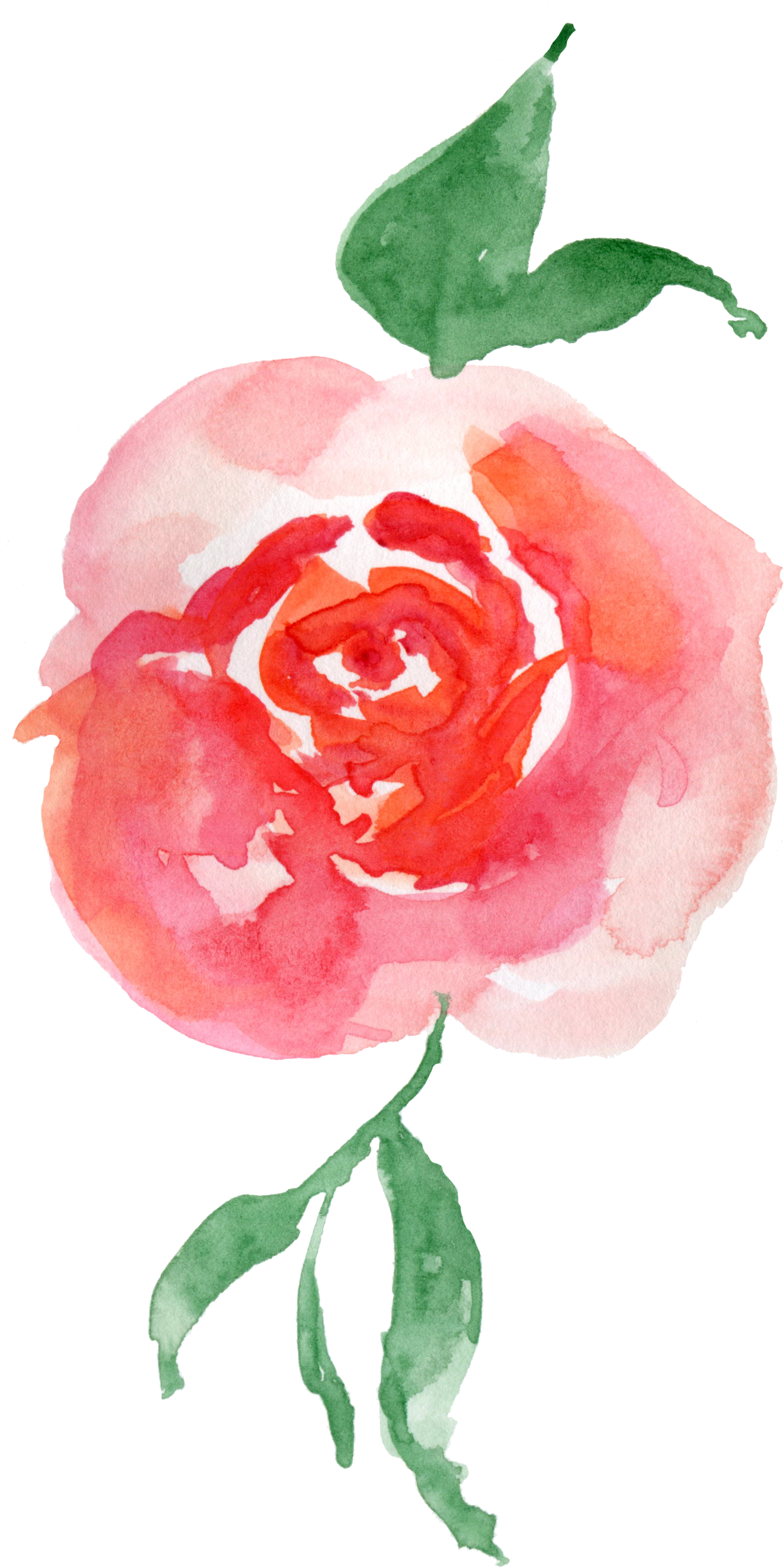 Watercolour - Eleville 8x10 Let The Peace Of Christ Rule In Your (1888x3473), Png Download