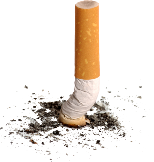 Smoke Smoking Cigarette Png Ash Nicotine Transparent - Cigarette Butts Transparent Background (500x525), Png Download