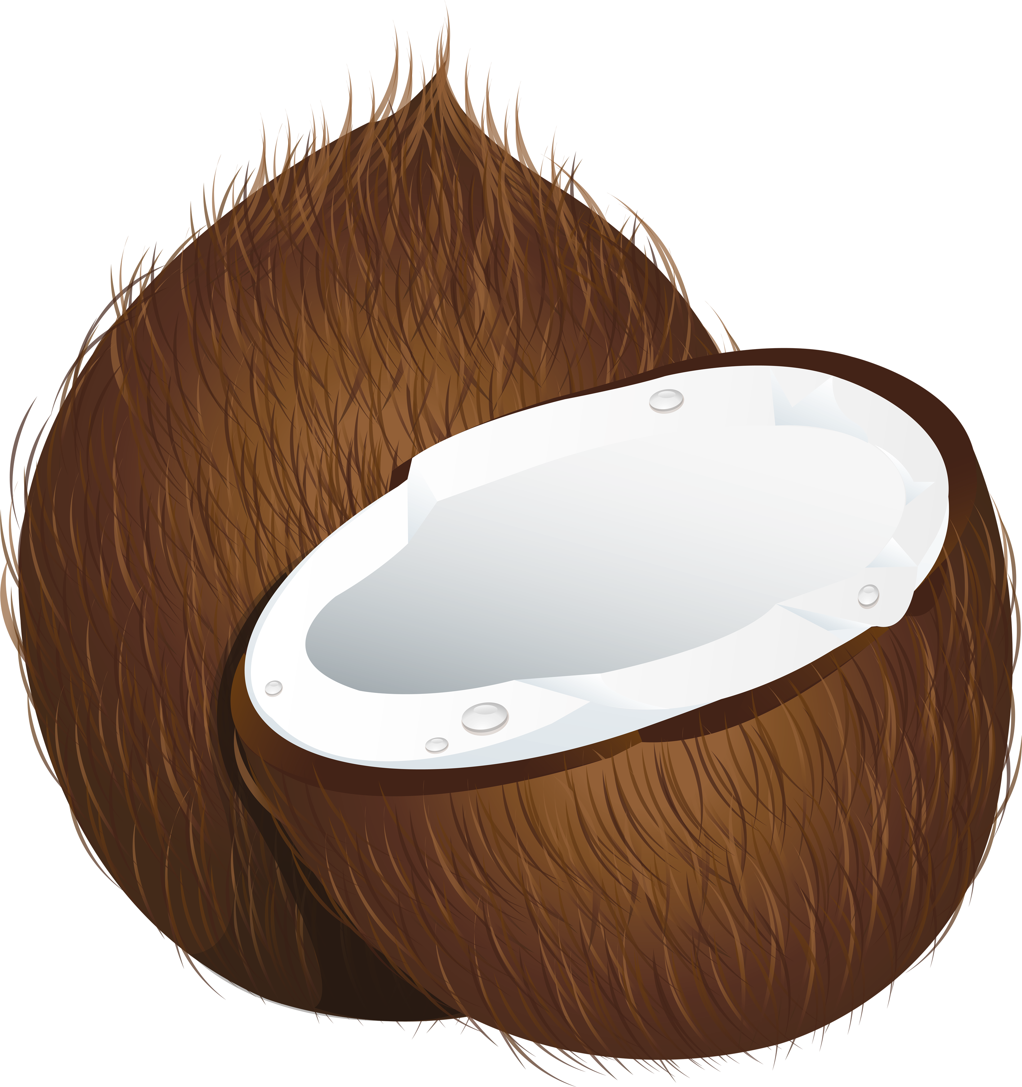 Coconut (3296x3506), Png Download