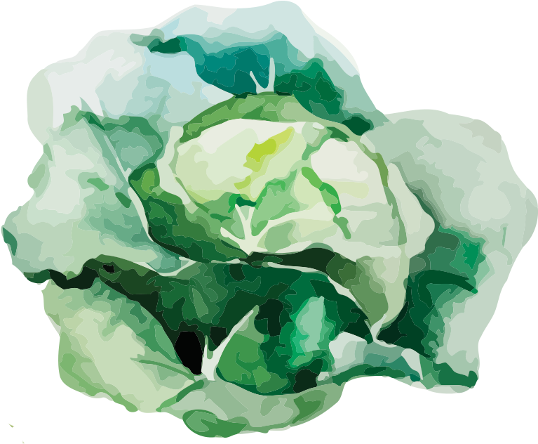 Onion Png (850x850), Png Download