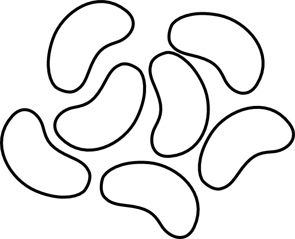 Beans Clipart Jello - Beans Stencil (600x485), Png Download