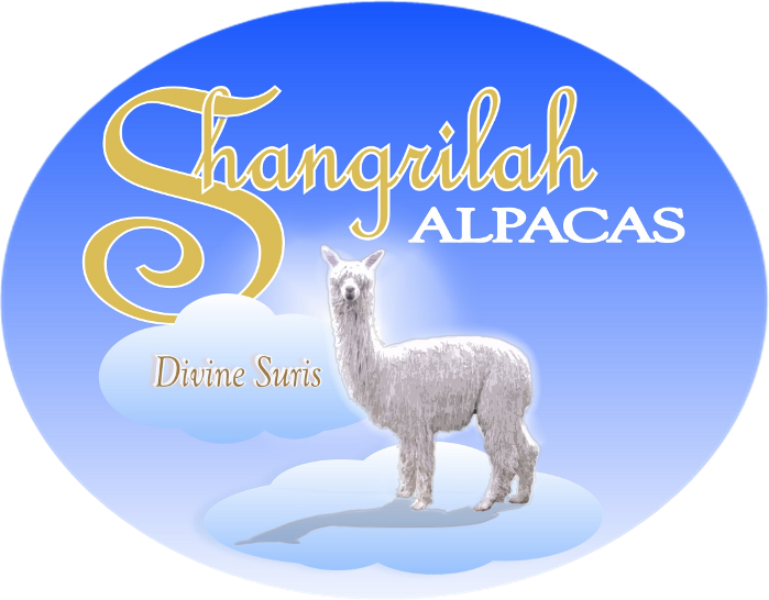 Shangrilah Alpacas Logo - Shangrilah Alpacas (699x546), Png Download