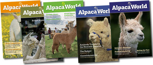 Alpaca World Magazine (542x230), Png Download