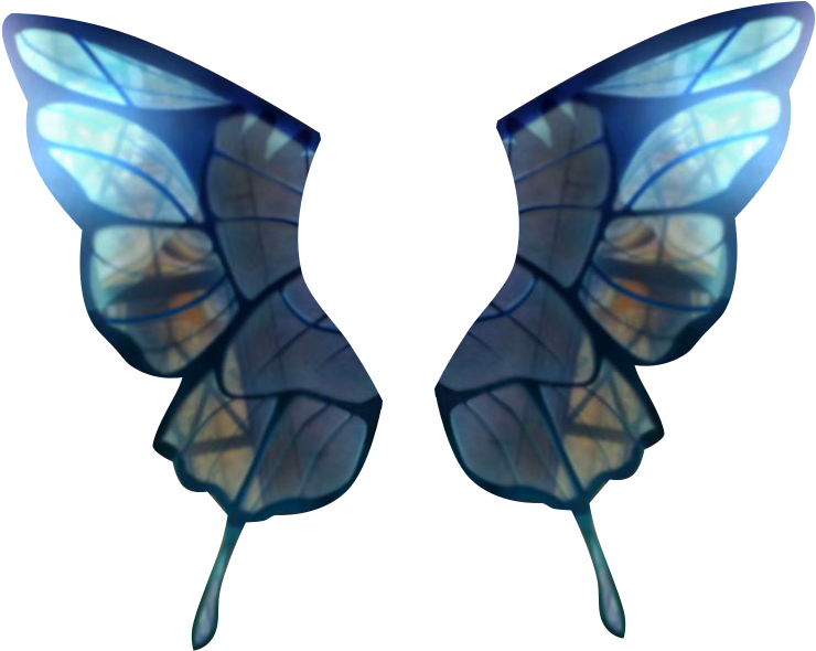 Swallowtail Butterfly (800x610), Png Download