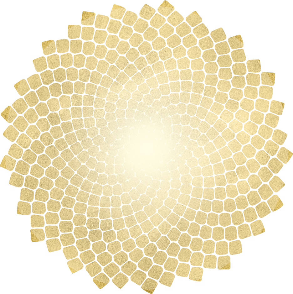 Seed Of Life Png (936x938), Png Download
