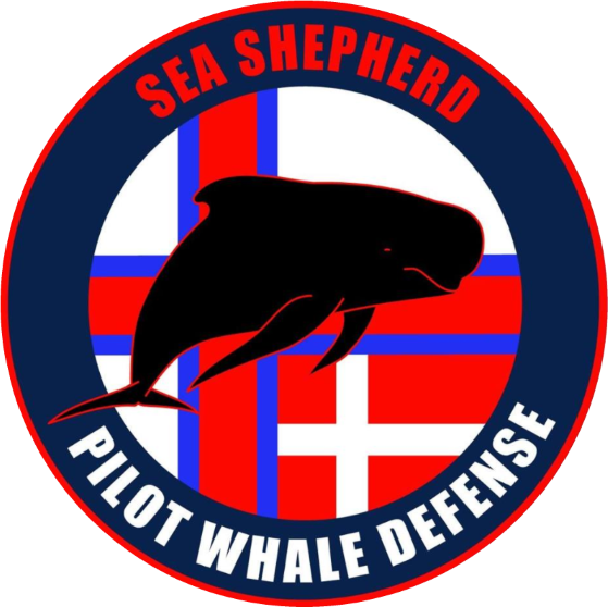 Pilot Whale Defense Campaign - Sea Shepherd Operation Bloody Fjords (559x558), Png Download