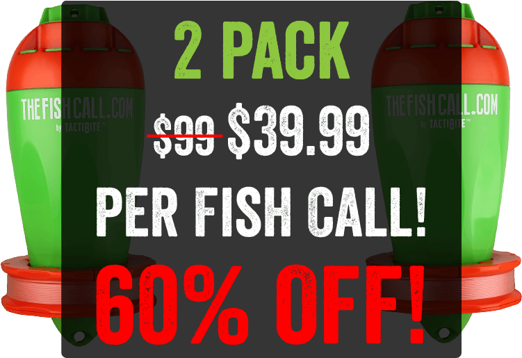 Black Friday Starts Now - Top (750x531), Png Download