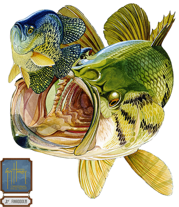 Bass And Bluegill - Guy Harvey Bass Painting (360x416), Png Download