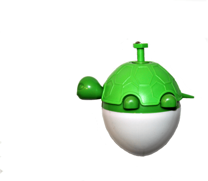 Turtle Fishing Boober - Fishing (900x600), Png Download