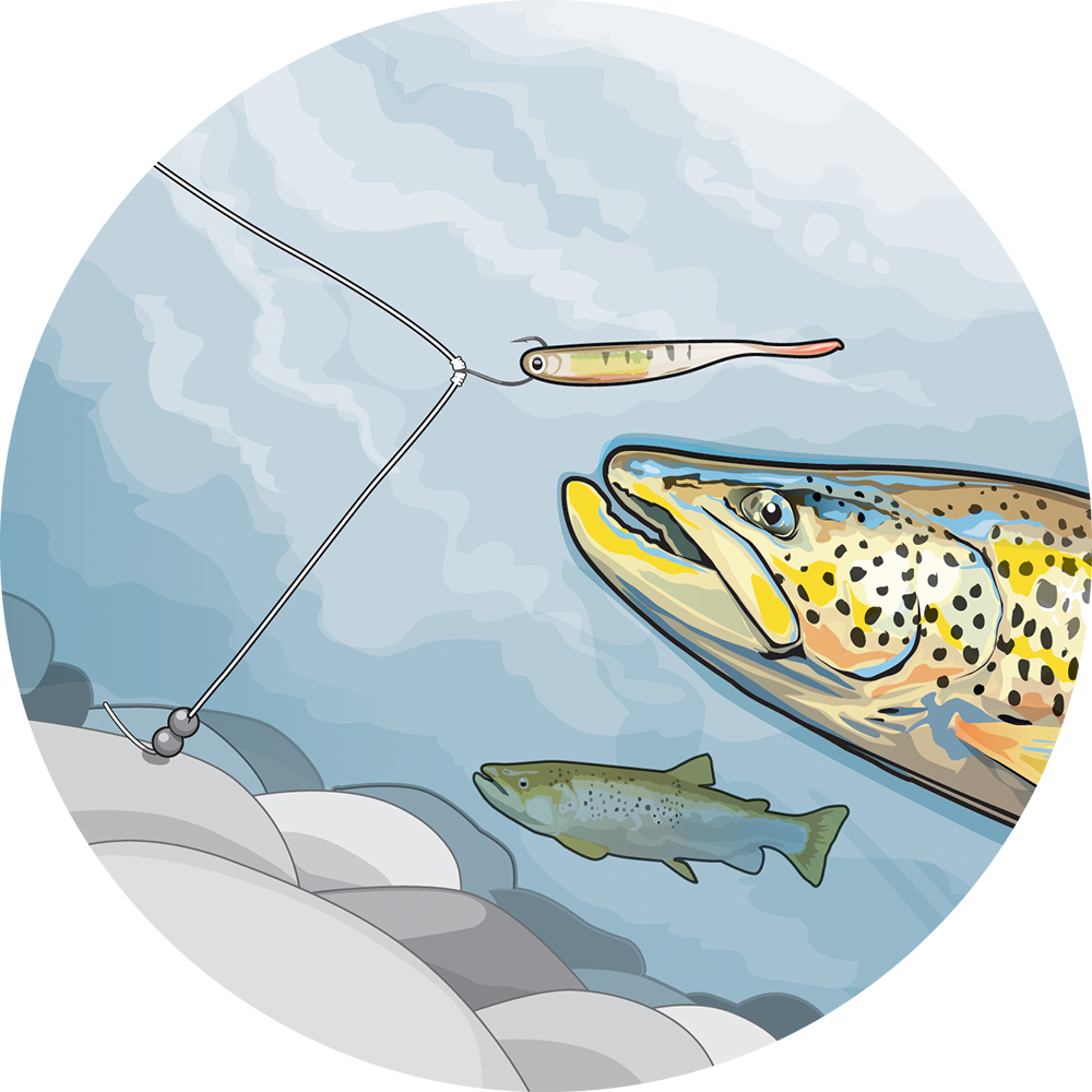 Trout Going For Soft Bait Illustration - Soft Plastics For Trout (1000x1000), Png Download
