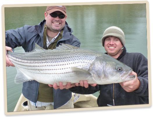 Watauga Lake Fishing (538x407), Png Download