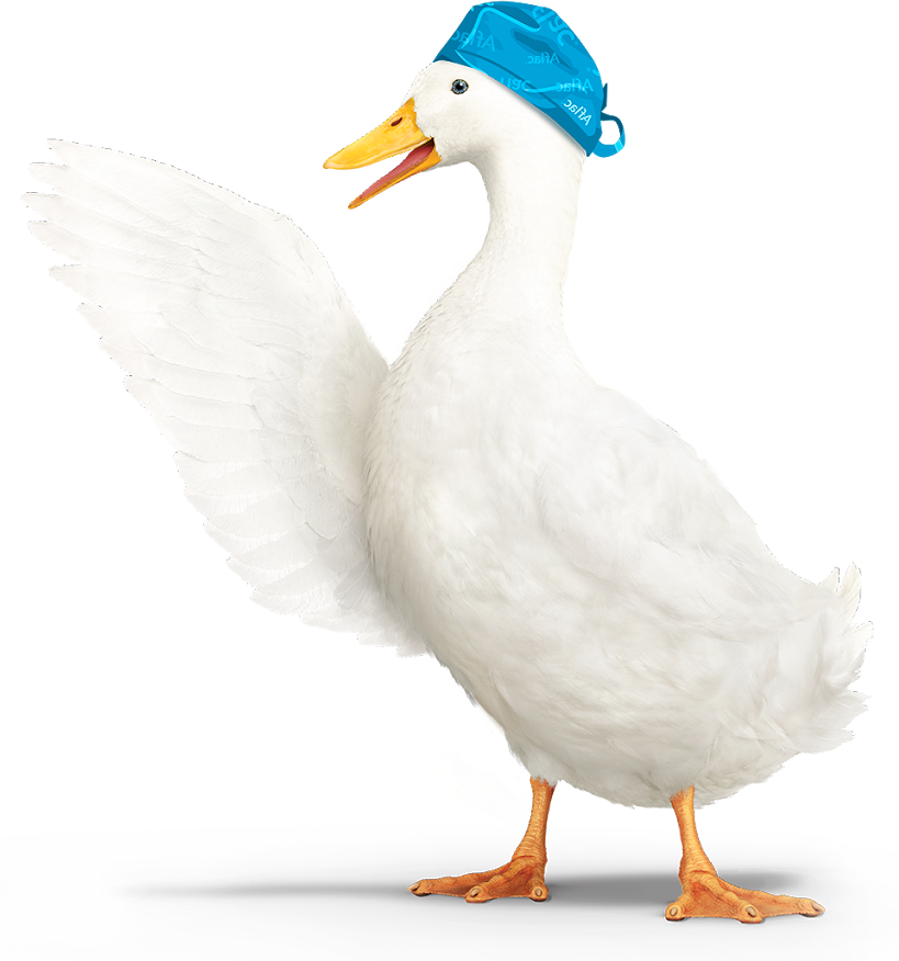 Download Hd Hospital Confinement Indemnity Insurance Aflac Duck Animated Gif Transparent Png Image Nicepng Com
