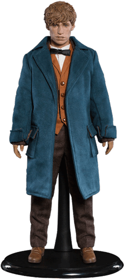 Fantastic Beasts Newt Scamander 1/6 Scale Figure - 1/6 Scale Fantastic Beasts (600x600), Png Download