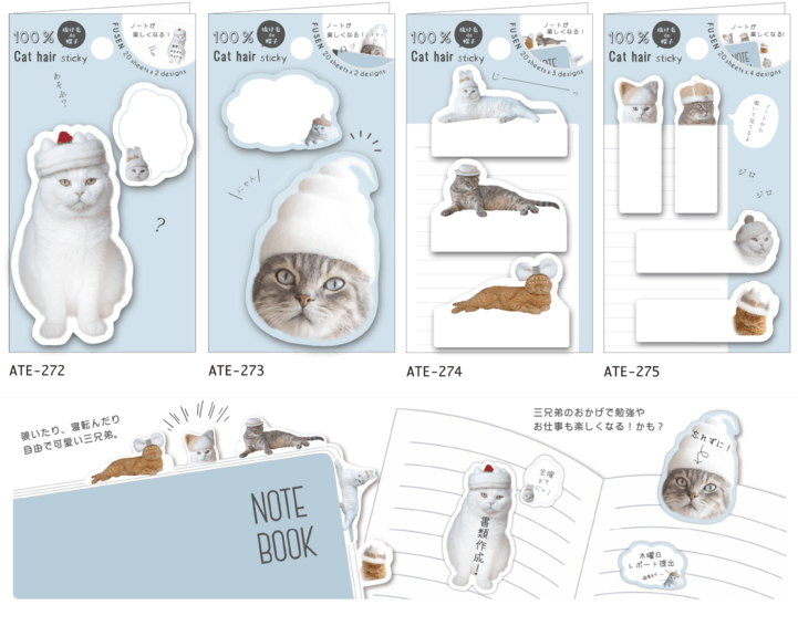 Cat (720x575), Png Download