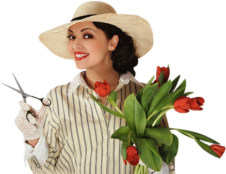 Tubes Femmes Tubes Femmes - Tubes Femmes (500x383), Png Download