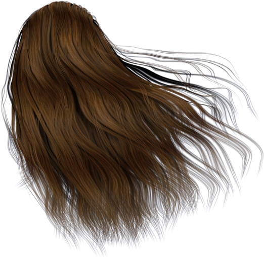 Image - Back Of Hair Png (600x521), Png Download