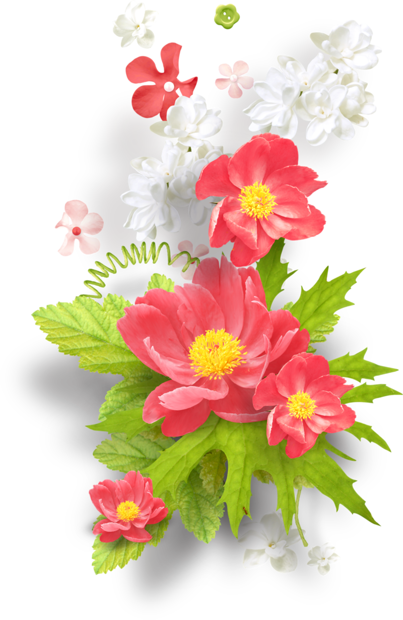 Tubes Png (800x1230), Png Download