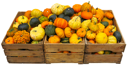 Eat, Food, Harvest, Thanksgiving - Mandarin Orange (453x340), Png Download