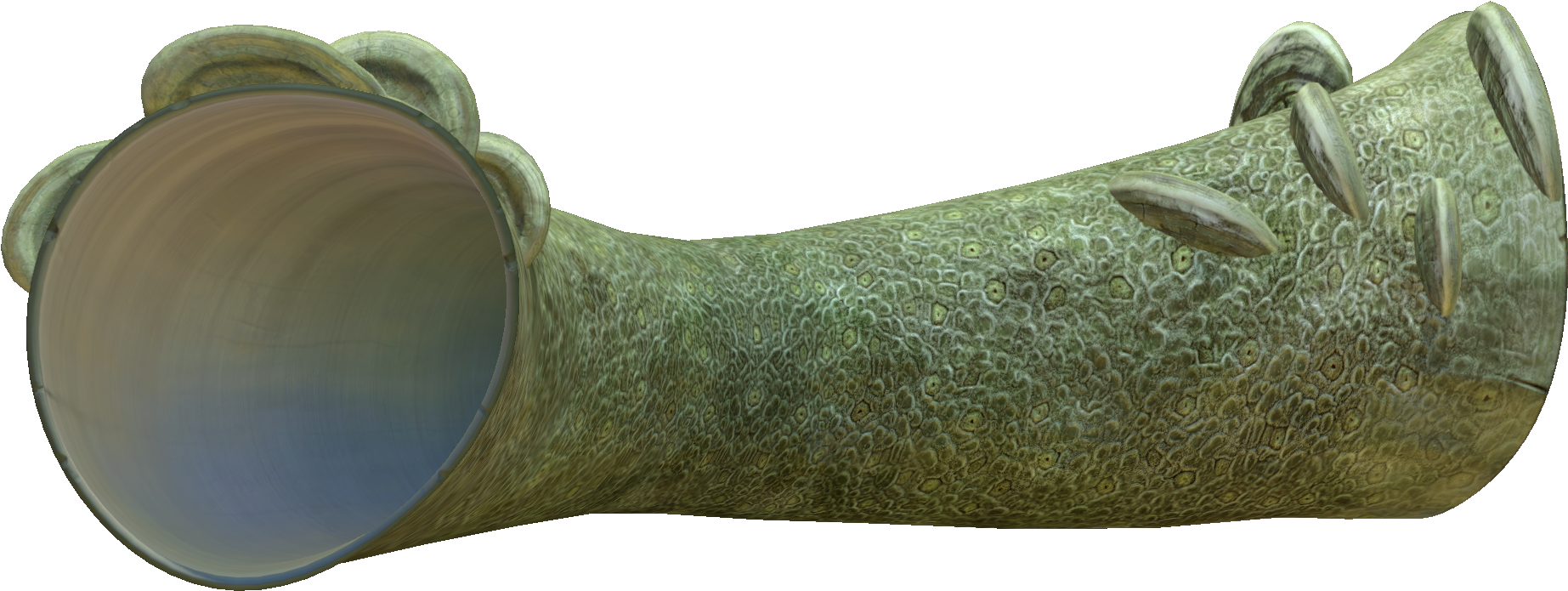 Giant Coral Tubes - Giant Coral Tube Subnautica (1920x1080), Png Download