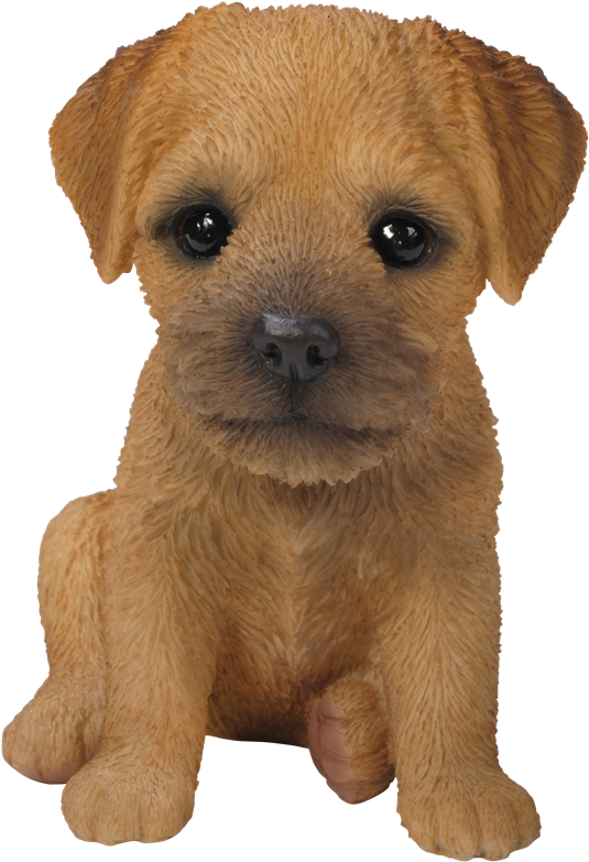 Small Image Of Pet Pals Border Terrier Puppy - Baby Border Terrier Dog (600x900), Png Download