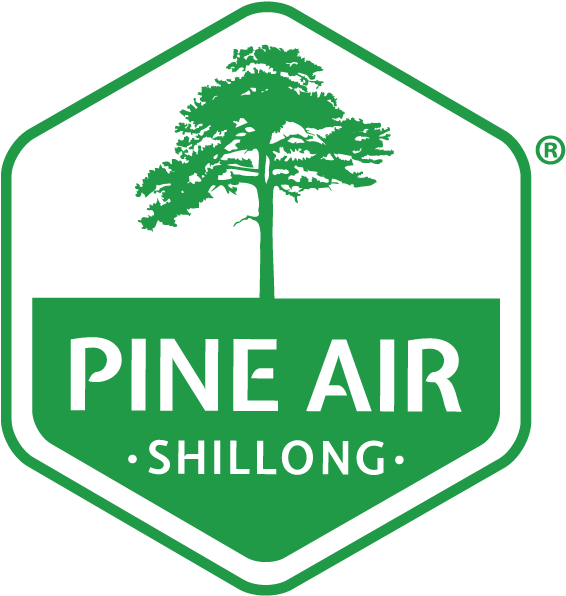 Logo Logo Logo Logo - Pine Air (800x800), Png Download
