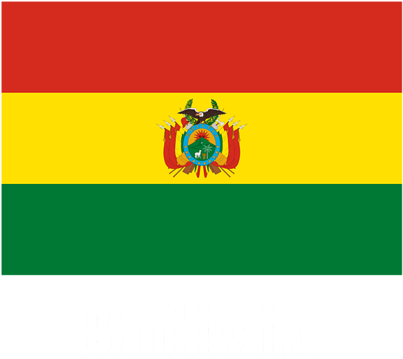 Bleed Area May Not Be Visible - Bolivia Flag (600x600), Png Download