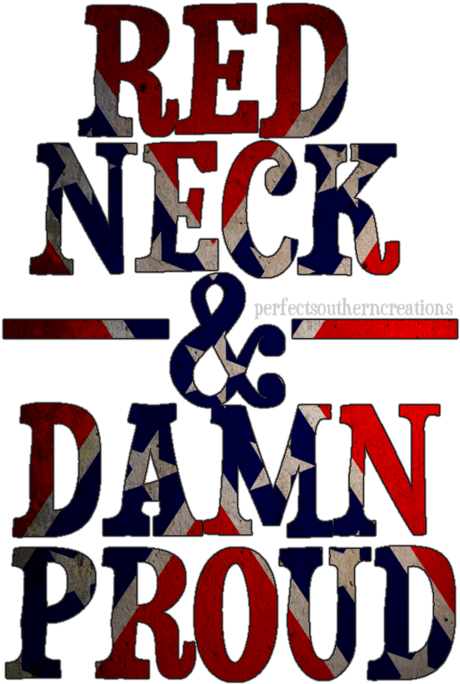Rebel Flag With Middle Finger (500x732), Png Download