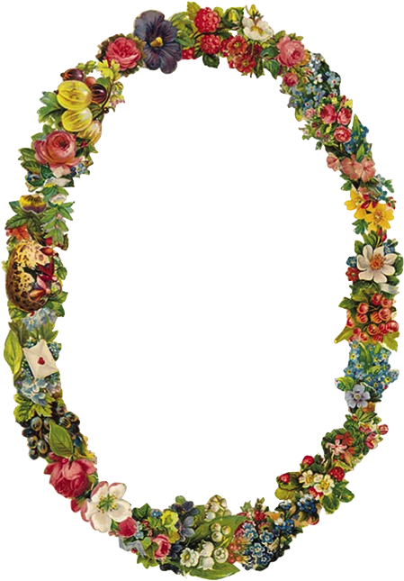 Transparent Border Tumblr Vcidnj Clipart - Floral Victorian Frame Clipart (494x648), Png Download