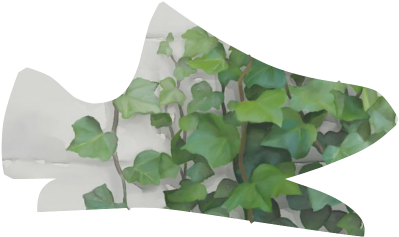 Watercolor Vines, Climbing Plant Grus Men's Breathable - Ivy (500x500), Png Download