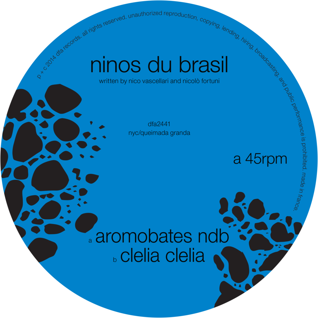 Ninos Du Brasil - Ninos Du Brazil Aromobates Nbd Vinyl Record (1024x1024), Png Download