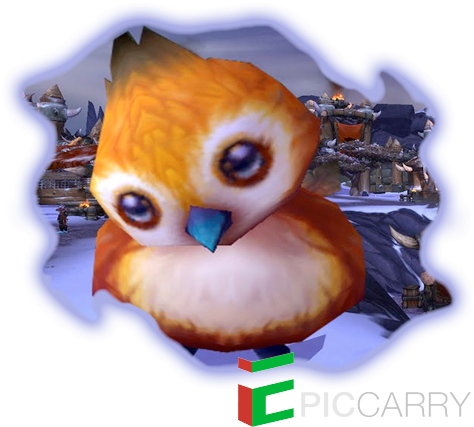 I Found Pepe - United States Of America (500x500), Png Download