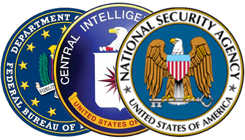 The National Security Agency Isn't The Only Arm Of - United States National Security Agency (500x500), Png Download