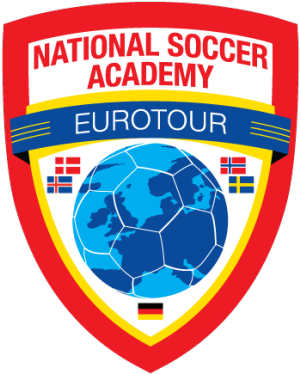 2019 Gothia Cup China Announcement - National Soccer Academy (310x402), Png Download