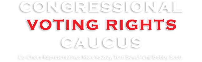 Voting Rights Caucus - Voting (647x236), Png Download