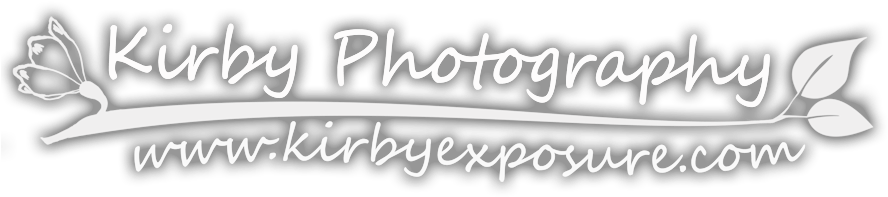 Logo (900x234), Png Download