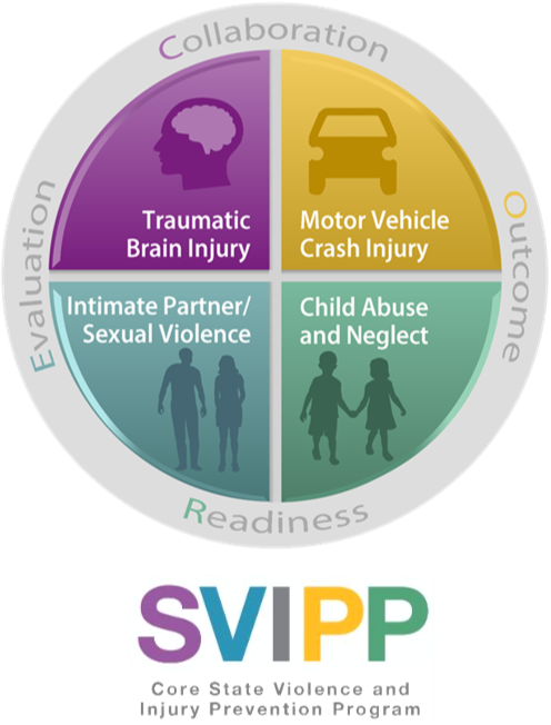 Nicholas Lee Hines Mph, Core Svipp Grant Coordinator - Child Injury Prevention Program Doh (496x652), Png Download