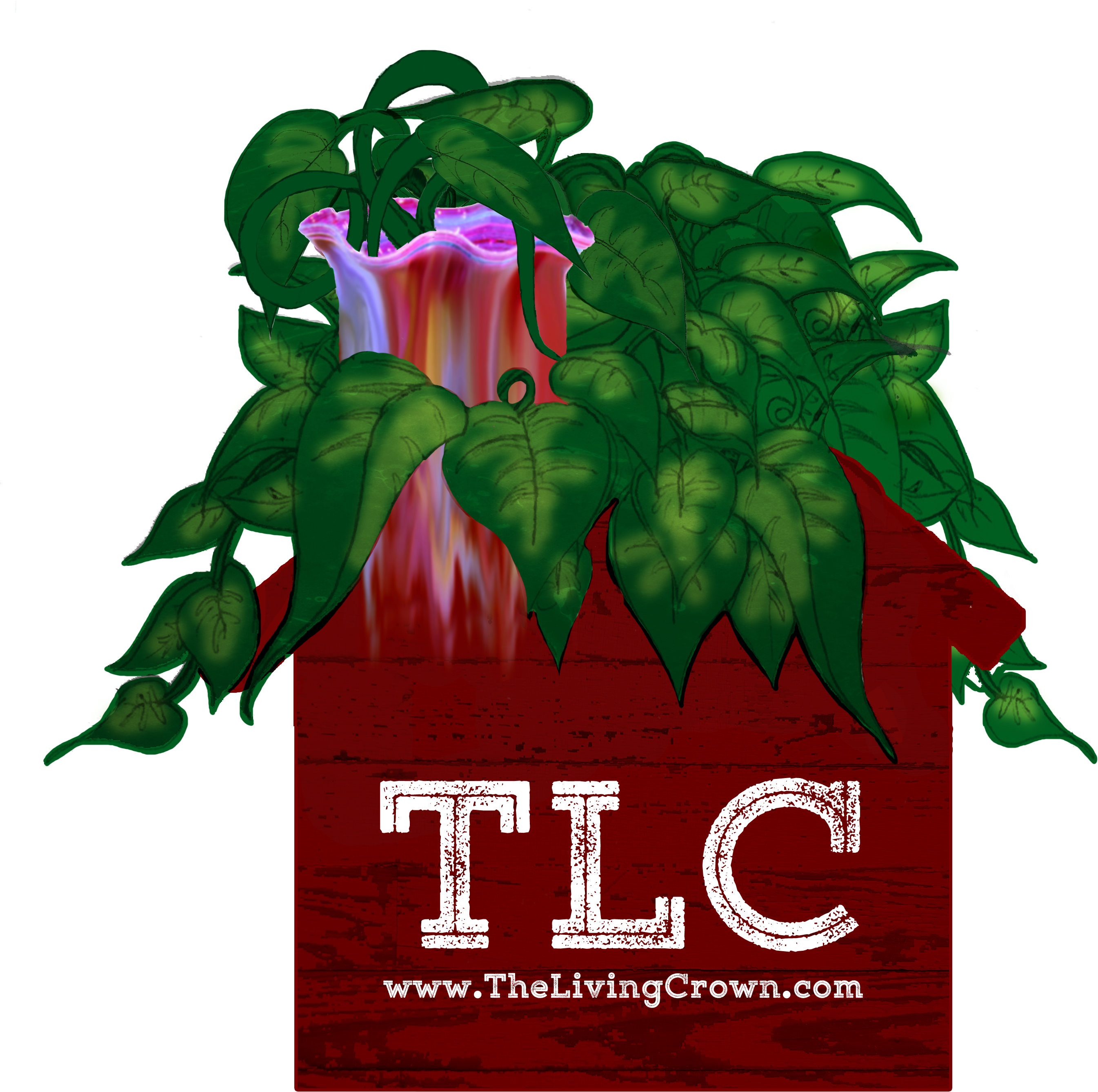 Tlc Logo - Logo (3000x3000), Png Download