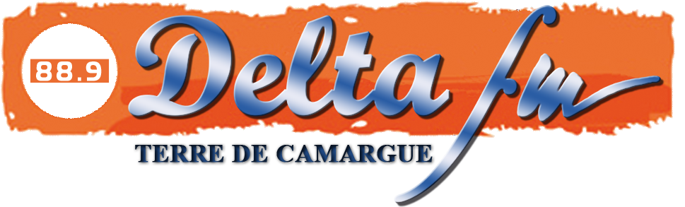 Logo Delta Fm 2012 R - Delta Fm (1000x382), Png Download
