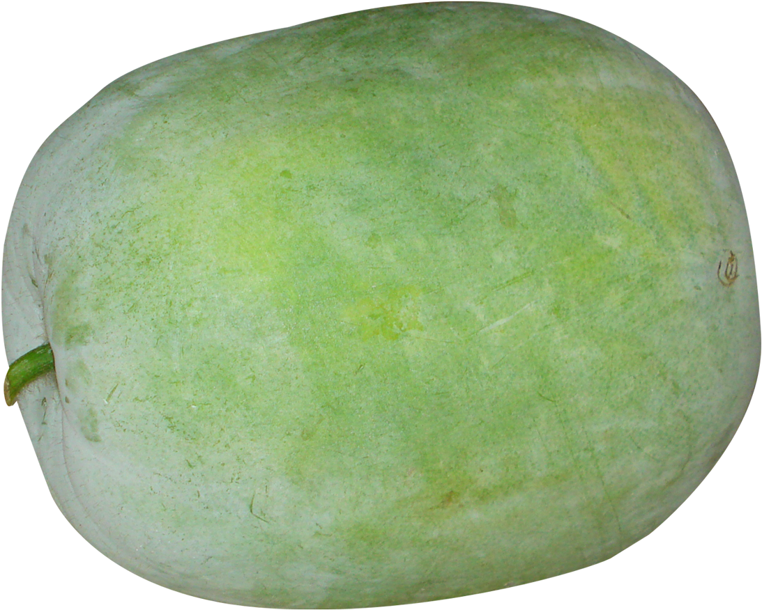 Giant Winter Melon Png Image - Winter Melon Png (1153x931), Png Download