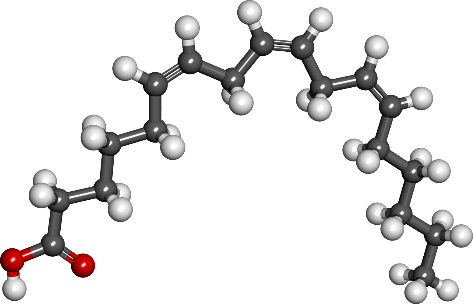 Gamma Linolenic Acid - Linolenic Acid (1553x1000), Png Download