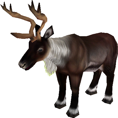 Download Zip Archive - Zoo Tycoon 2 Caribou (750x650), Png Download