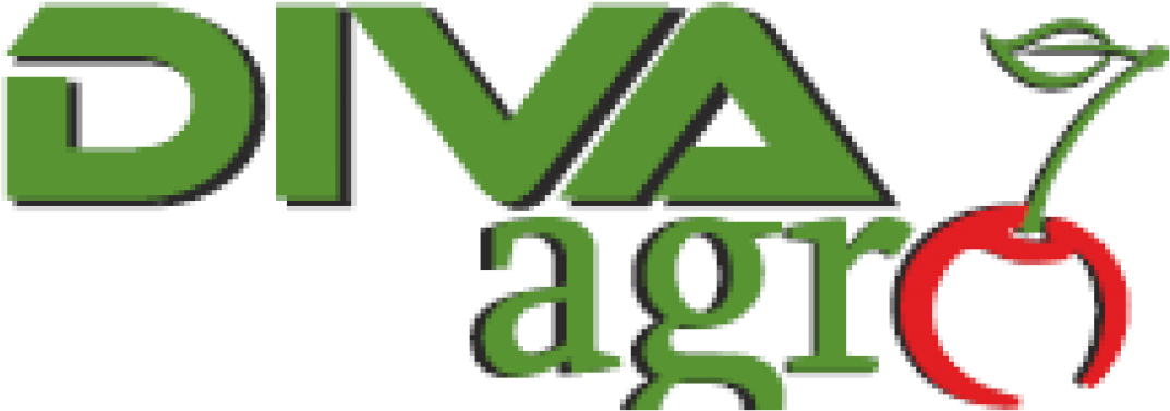 Cropped-logo - Cherry (1140x399), Png Download