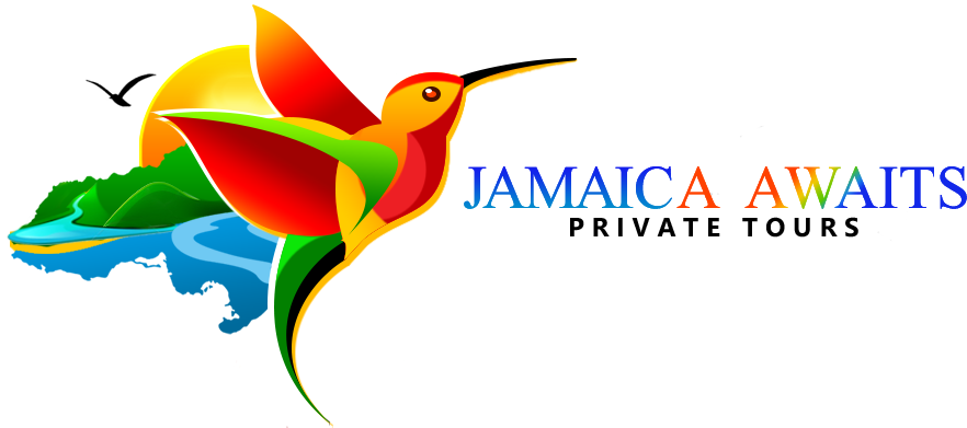 Jamaica Awaits Private Tours - Jamamcian Bird Png (926x418), Png Download