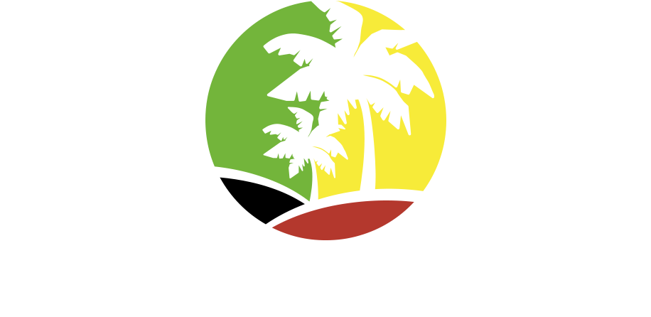 Dream Catcher Jamaica - All About Recovery (1000x500), Png Download