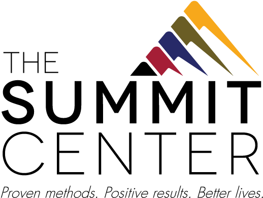 Birthday Wishes For A Great Cause - Summit Center Buffalo (792x612), Png Download