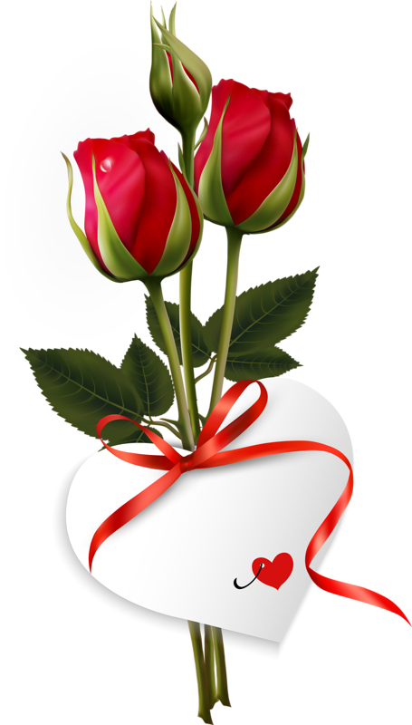 Me Gusta Xa Un Regalo - Good Morning With Rose (455x800), Png Download