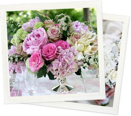 The Favorite Of Many A Broadway Star Since 1989, Seasons - Garden Roses (447x397), Png Download