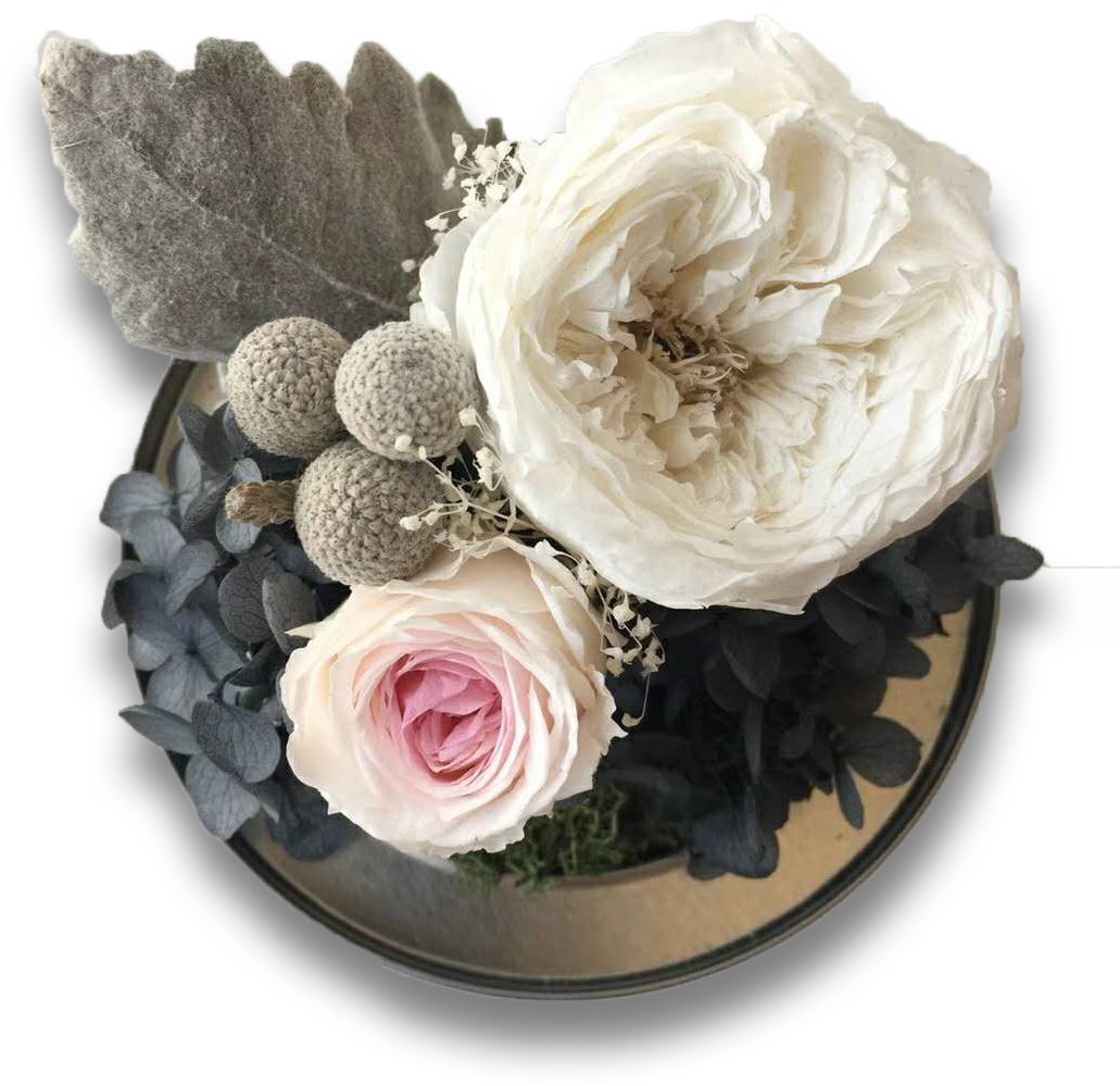 Welcome To Kruse Preserved Flowers - Garden Roses (1080x1440), Png Download