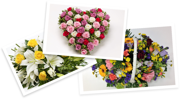 Welcome To Make My Day Flowers - Moss-rose Purslane (1360x450), Png Download