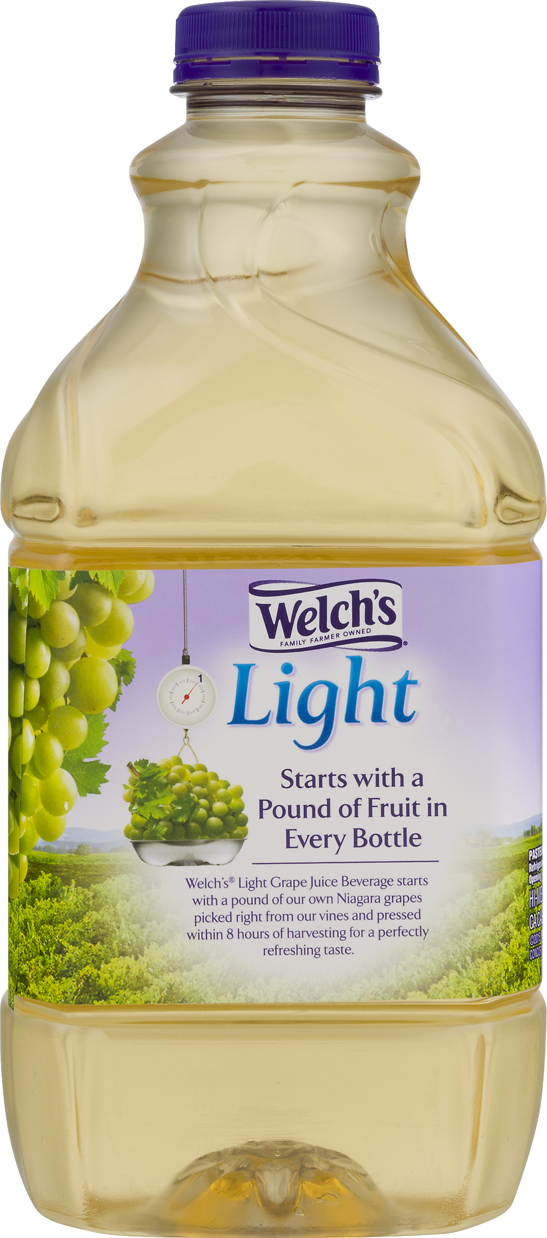 Welchs Fruit Snacks, Tangy Fruits, Value Pack - 22 (1106x2500), Png Download